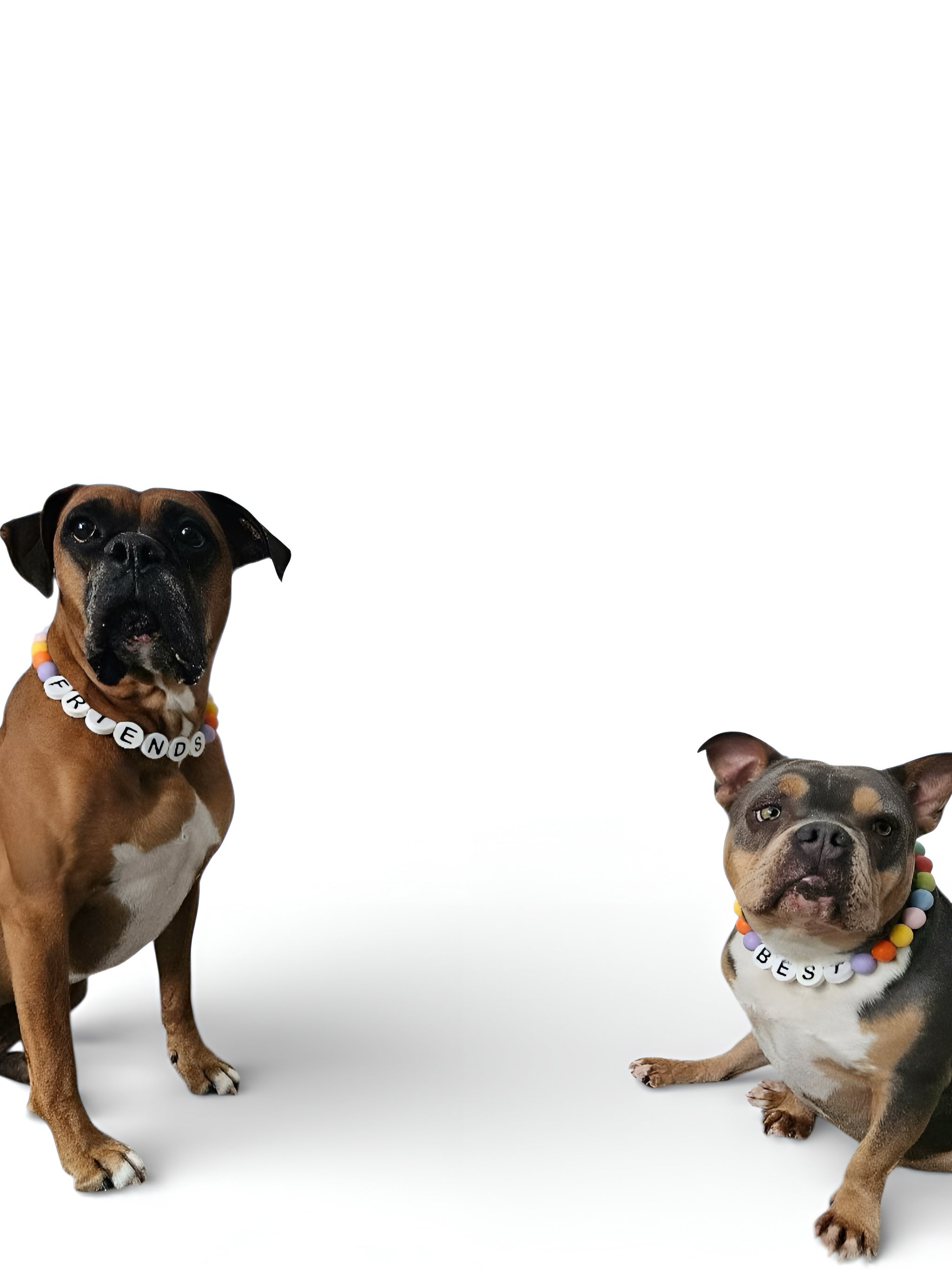 Best Friend Collars