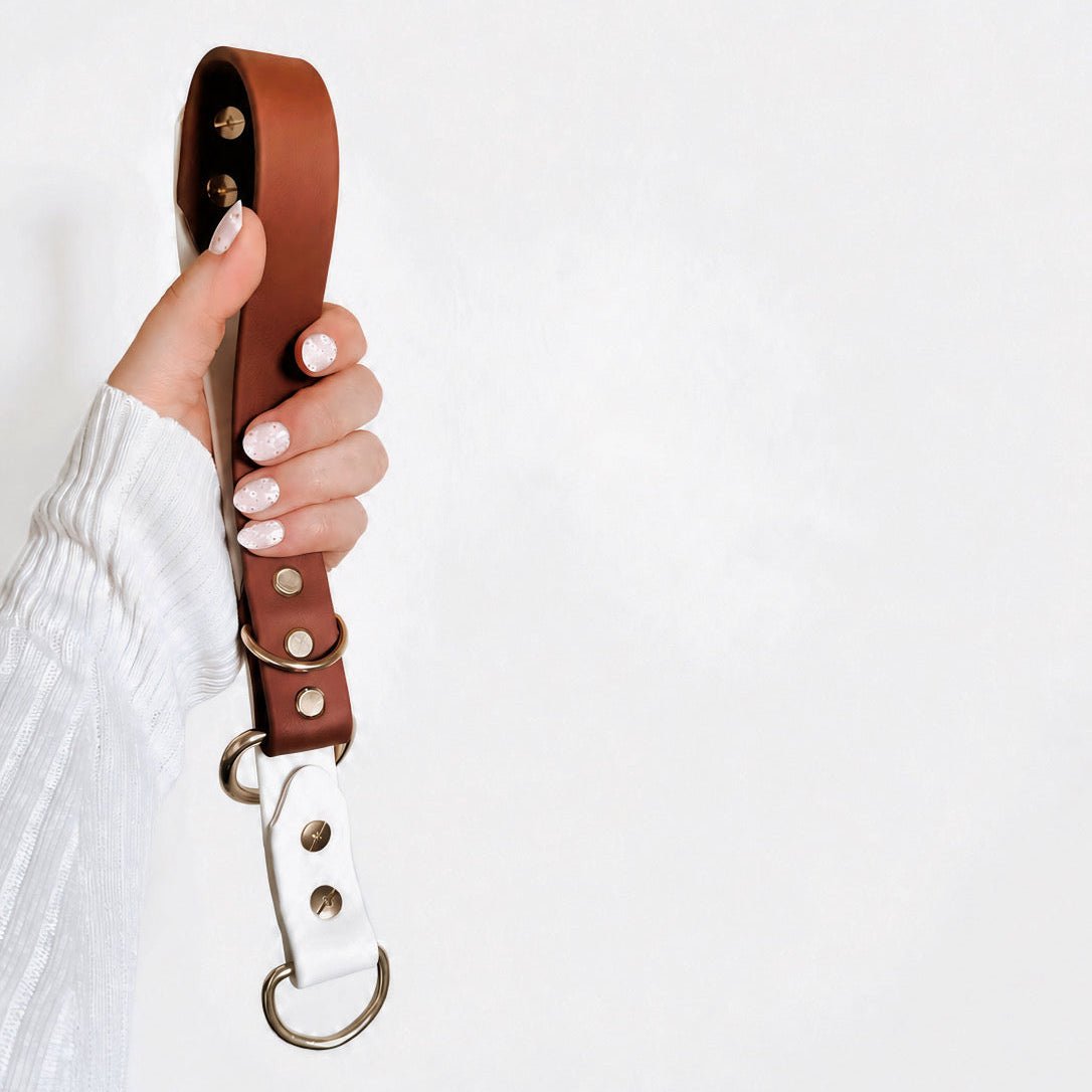 brown + white biothane slip dog collar - The Collar Loft