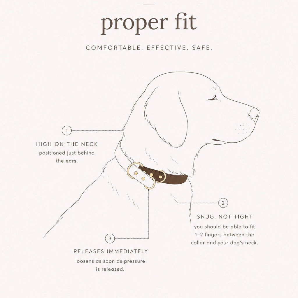 brown + white biothane slip dog collar - The Collar Loft