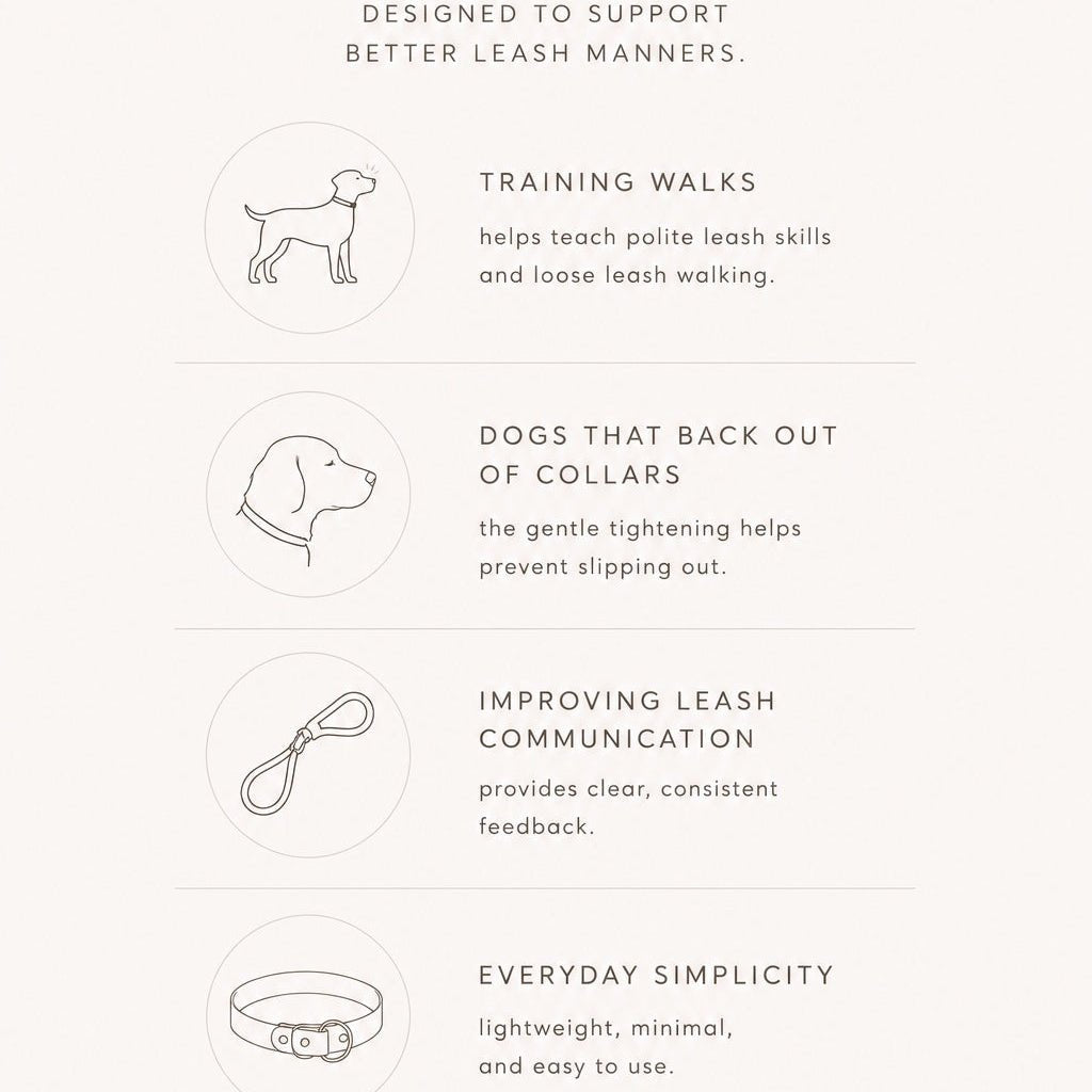 brown + white biothane slip dog collar - The Collar Loft