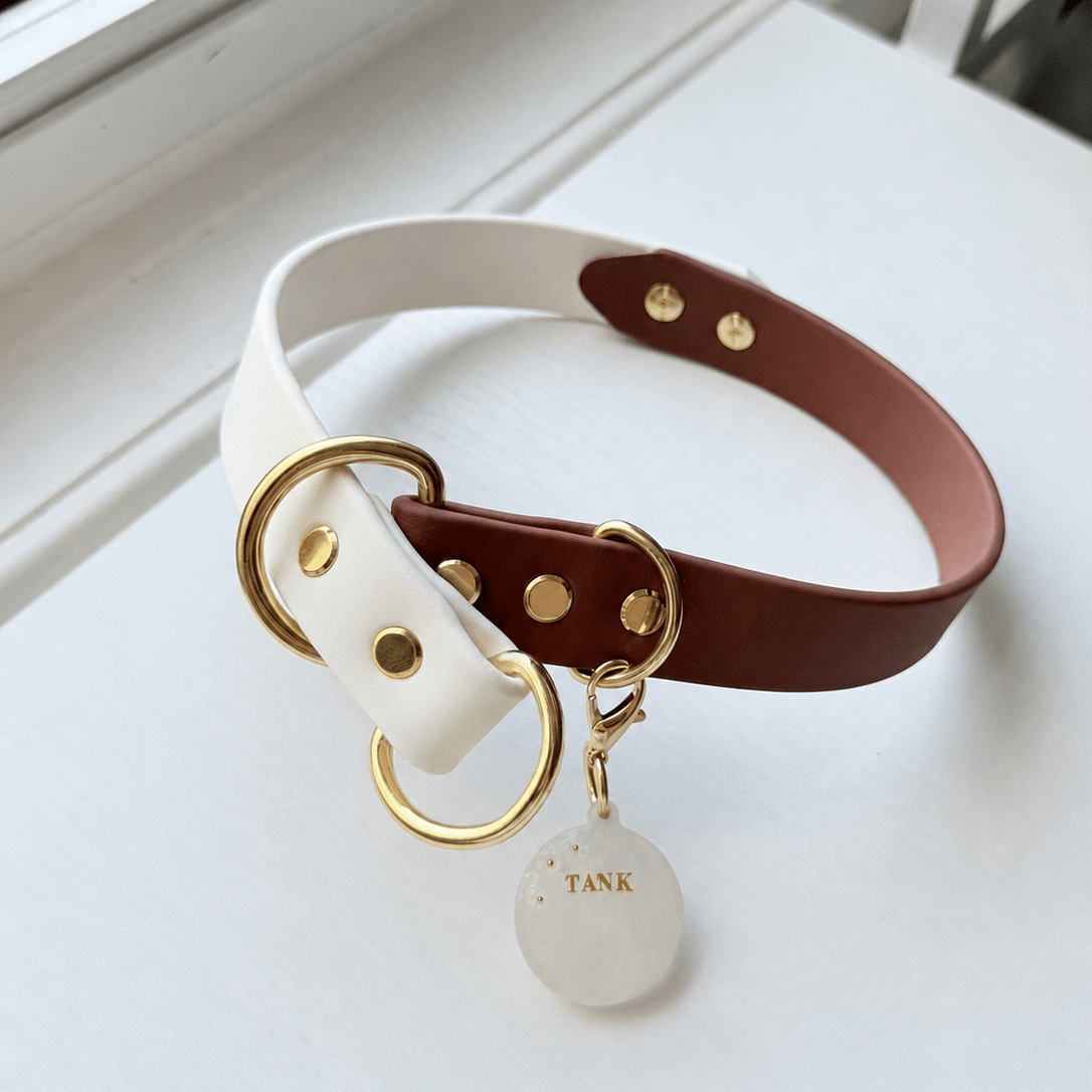 brown + white biothane slip dog collar - The Collar Loft