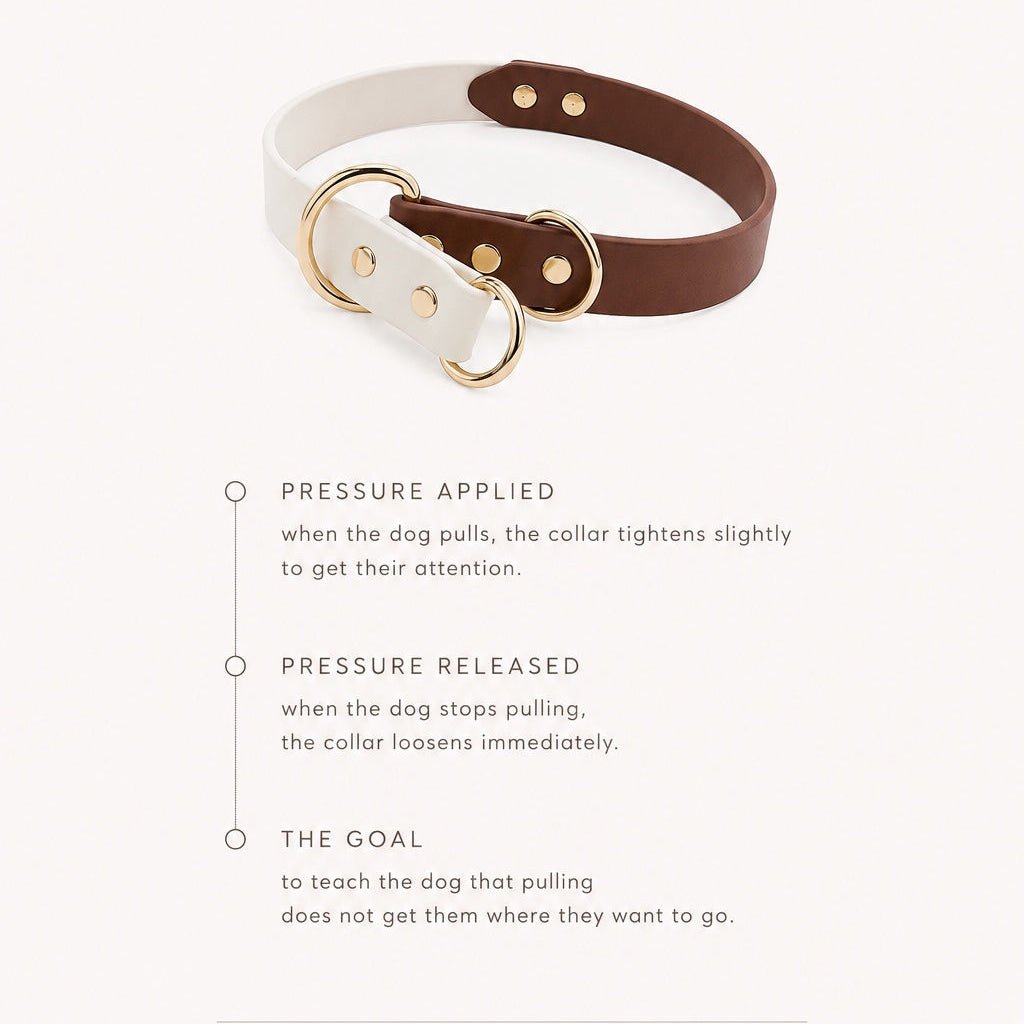 brown + white biothane slip dog collar - The Collar Loft