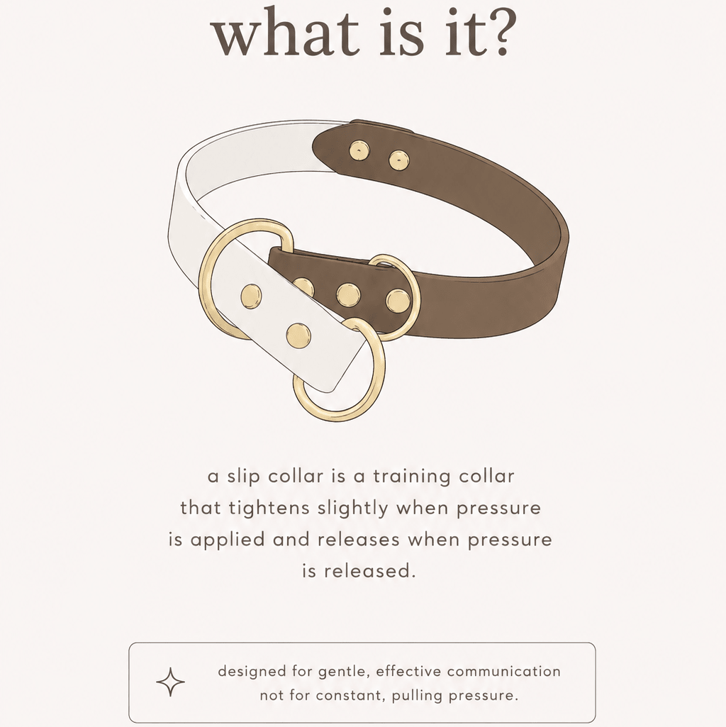 brown + white biothane slip dog collar - The Collar Loft
