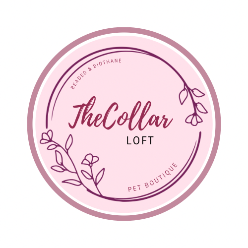 The Collar Loft 
